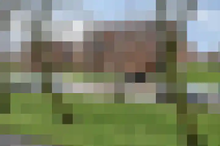 De Dukdalf 49 Dronten thumbnail 36