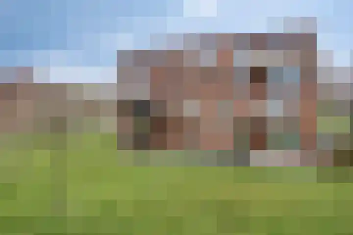 De Dukdalf 49 Dronten thumbnail 37