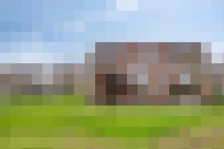 De Dukdalf 49 Dronten thumbnail 5
