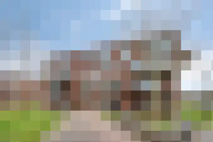 De Dukdalf 49 Dronten thumbnail 7