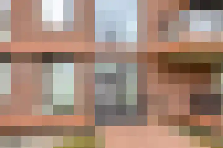 De Dukdalf 49 Dronten thumbnail 8