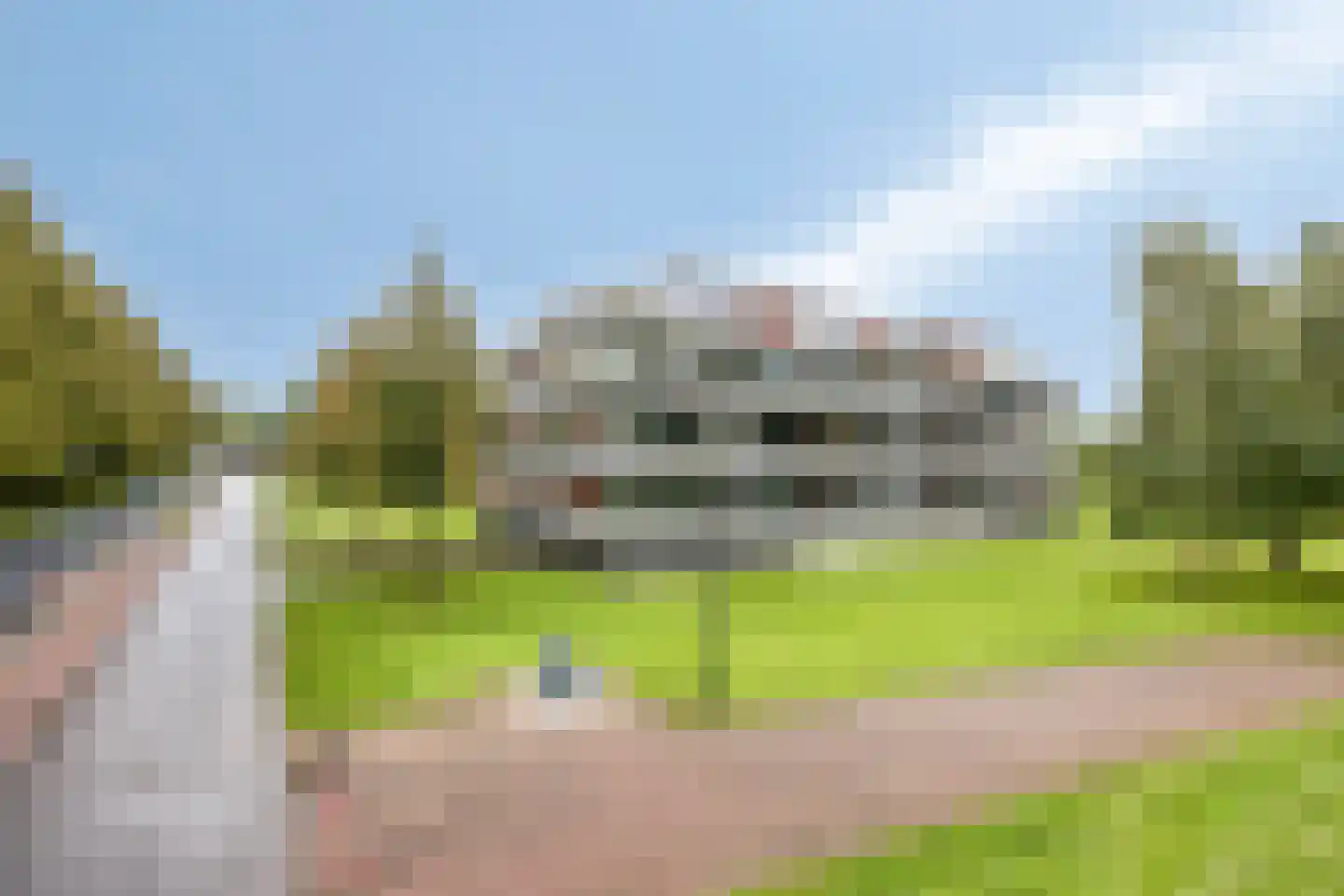 De Dukdalf 75 Dronten