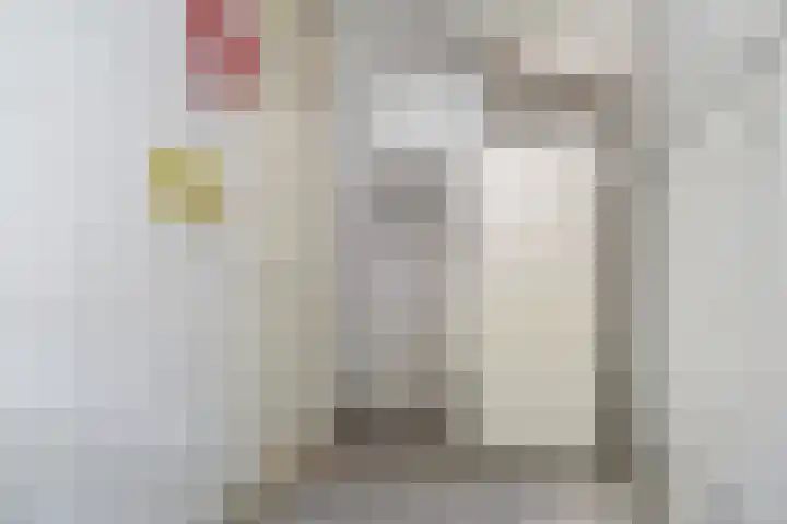de Dulf 13 Leeuwarden thumbnail 17