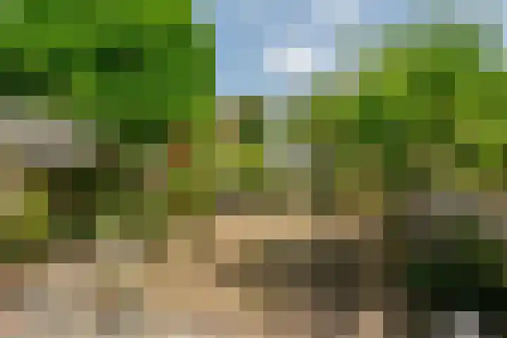 de Dulf 13 Leeuwarden thumbnail 18