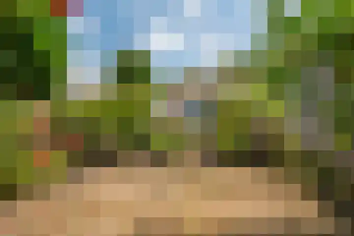 de Dulf 13 Leeuwarden thumbnail 19