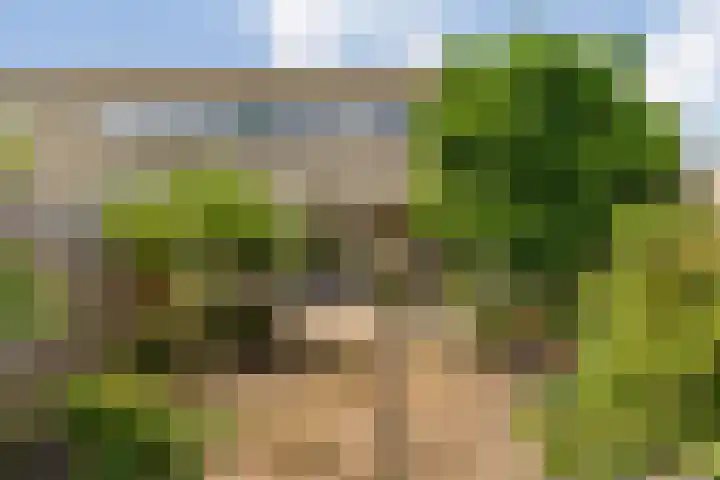 de Dulf 13 Leeuwarden thumbnail 20