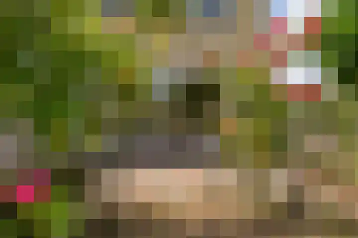 de Dulf 13 Leeuwarden thumbnail 21
