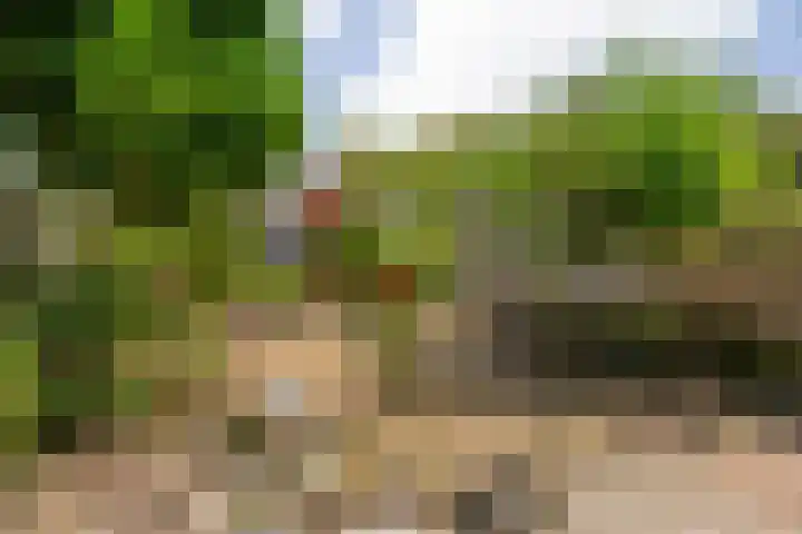de Dulf 13 Leeuwarden thumbnail 22