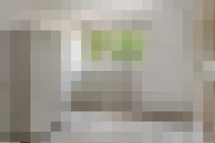 de Dulf 13 Leeuwarden thumbnail 26