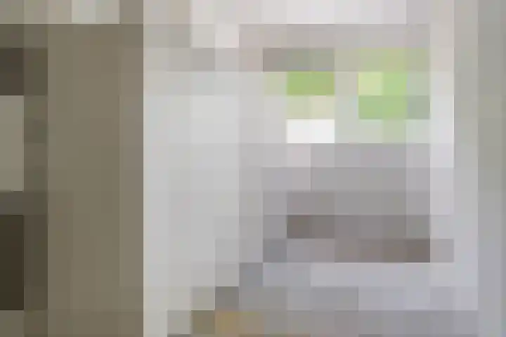 de Dulf 13 Leeuwarden thumbnail 28