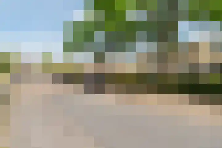 de Dulf 13 Leeuwarden thumbnail 5