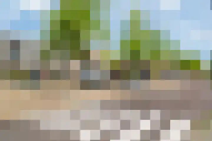 de Dulf 13 Leeuwarden thumbnail 6