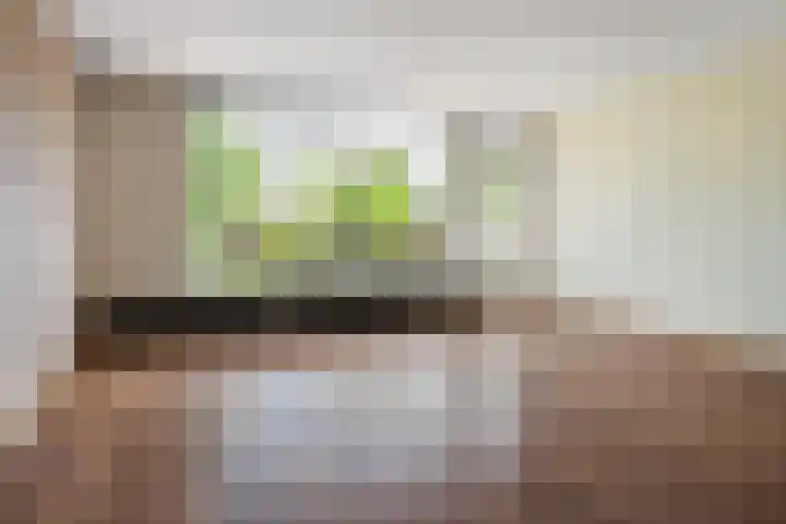 de Dulf 13 Leeuwarden thumbnail 9