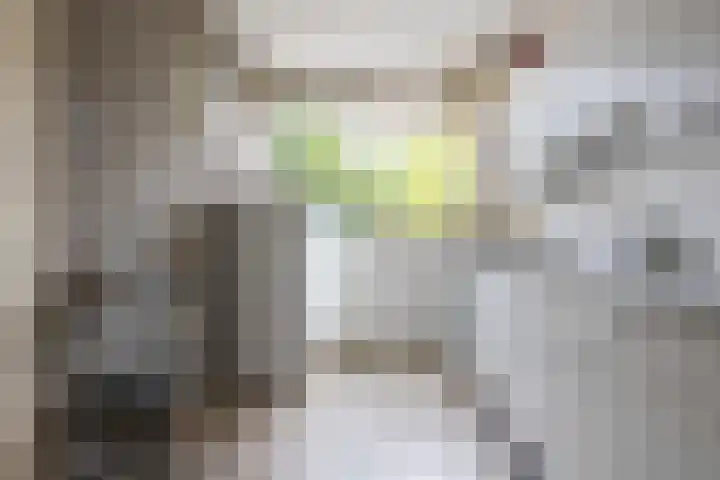 de Dulf 314 Leeuwarden thumbnail 16