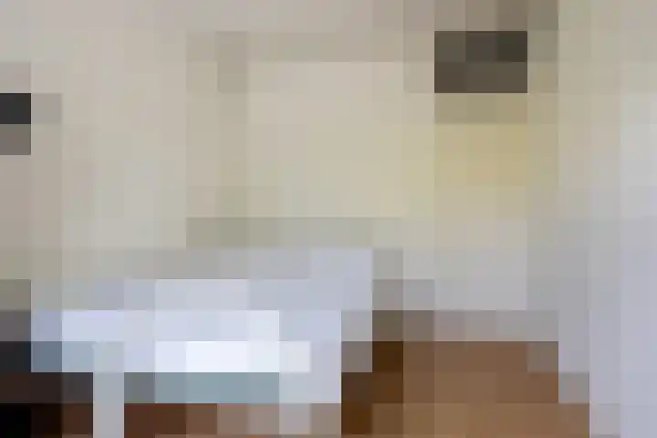de Dulf 314 Leeuwarden thumbnail 37