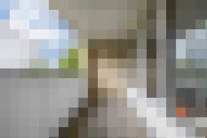 de Dulf 314 Leeuwarden thumbnail 39