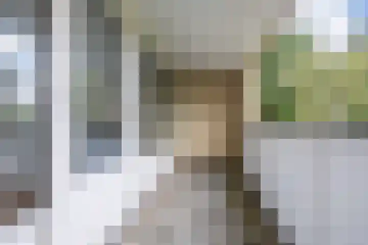de Dulf 314 Leeuwarden thumbnail 41