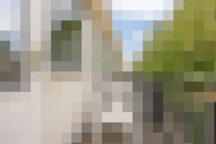 de Dulf 314 Leeuwarden thumbnail 42