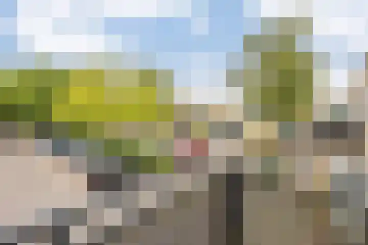 de Dulf 314 Leeuwarden thumbnail 43