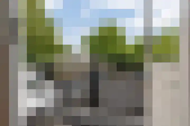 de Dulf 314 Leeuwarden thumbnail 45