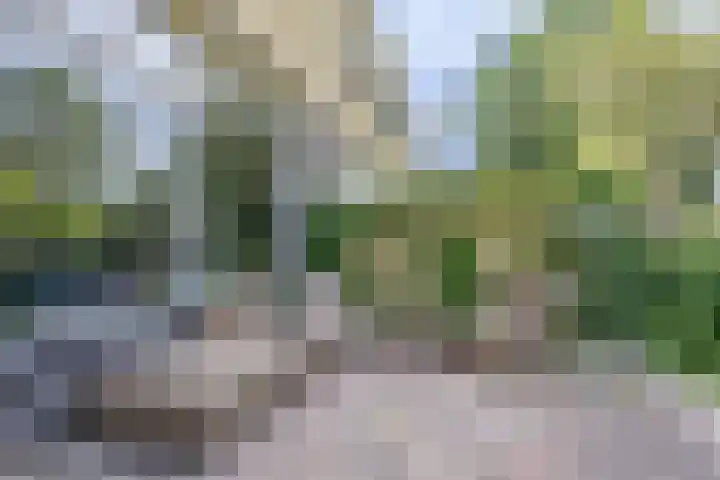 de Dulf 314 Leeuwarden thumbnail 48