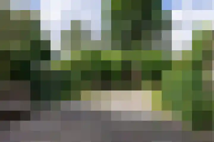 de Dulf 314 Leeuwarden thumbnail 49