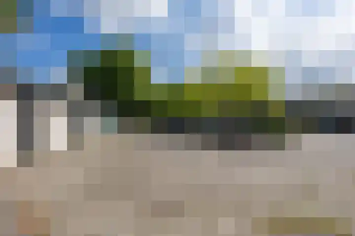 de Dulf 314 Leeuwarden thumbnail 50