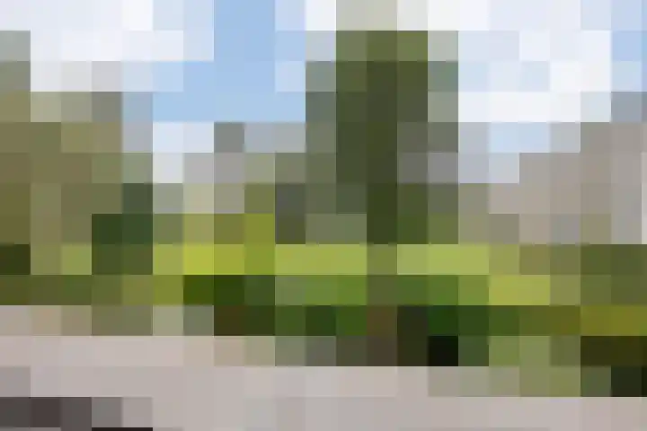 de Dulf 314 Leeuwarden thumbnail 51