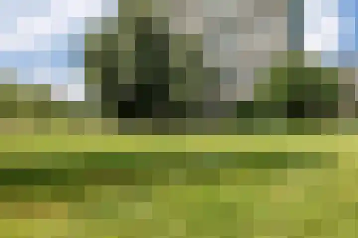 de Dulf 314 Leeuwarden thumbnail 52