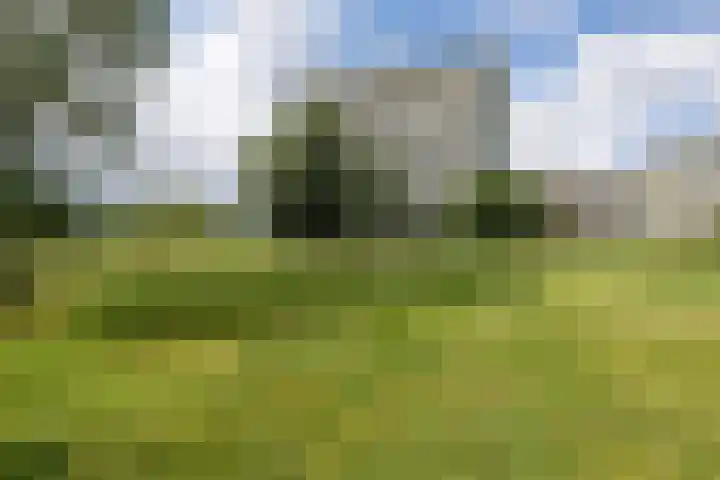 de Dulf 314 Leeuwarden thumbnail 53