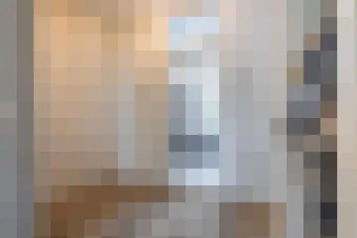de Dulf 314 Leeuwarden thumbnail 6
