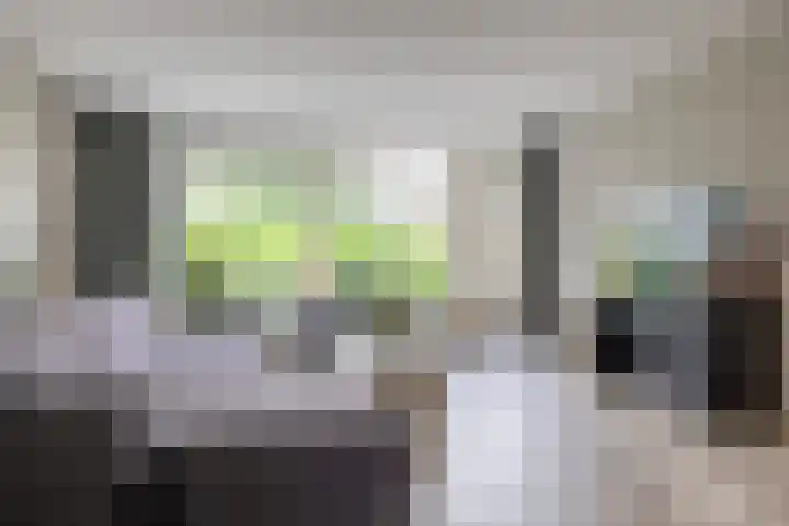 de Dulf 314 Leeuwarden thumbnail 7