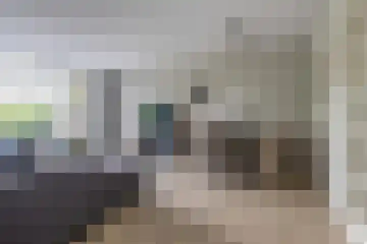 de Dulf 314 Leeuwarden thumbnail 9