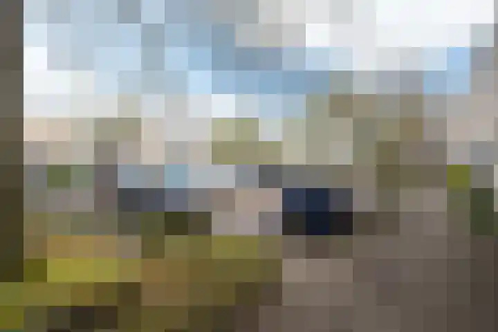 de Dulf 53 Leeuwarden thumbnail 32