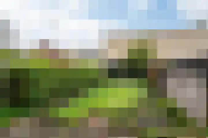 de Dulf 53 Leeuwarden thumbnail 8