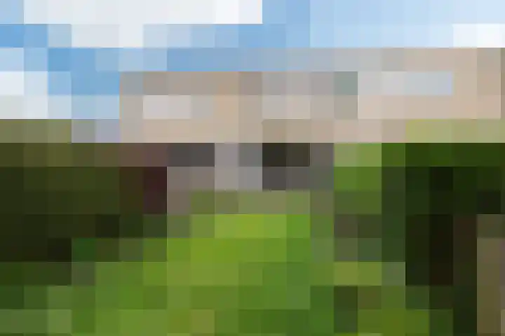 de Dulf 53 Leeuwarden thumbnail 9