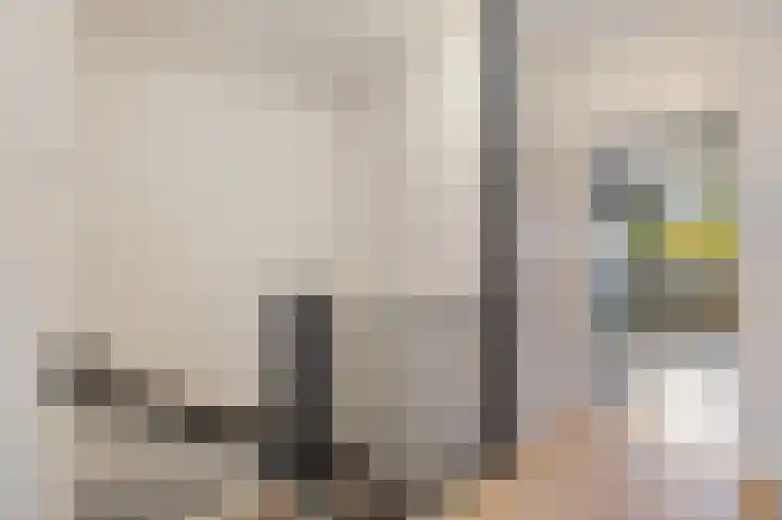 de Dulf 93 Leeuwarden thumbnail 16