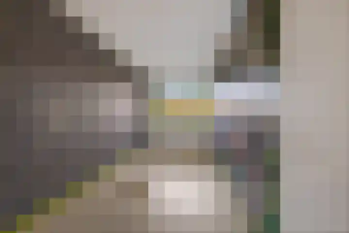 de Dulf 93 Leeuwarden thumbnail 21