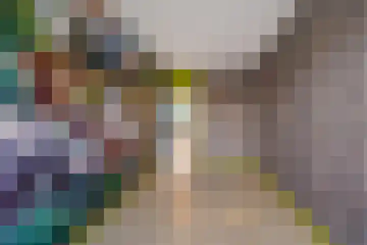 de Dulf 93 Leeuwarden thumbnail 22