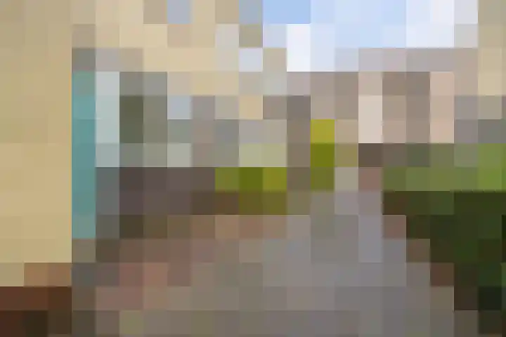 de Dulf 93 Leeuwarden thumbnail 30