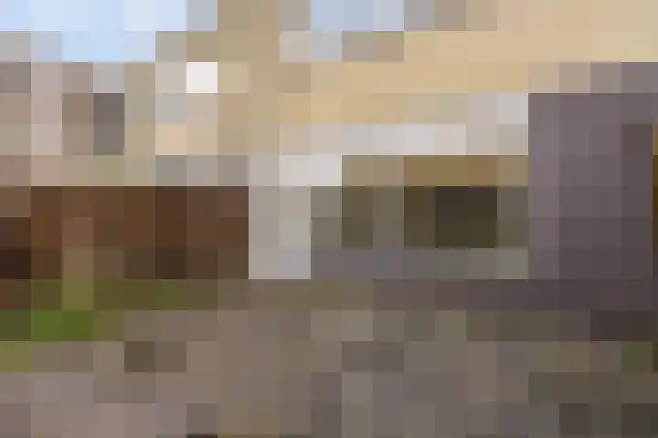 de Dulf 93 Leeuwarden thumbnail 31