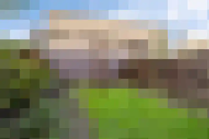 de Dulf 93 Leeuwarden thumbnail 32
