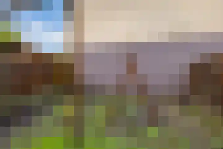 de Dulf 93 Leeuwarden thumbnail 33