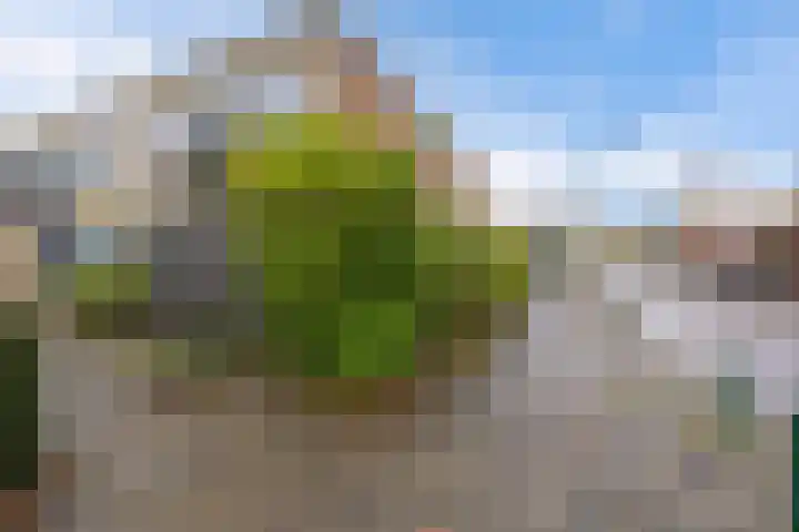 de Dulf 93 Leeuwarden thumbnail 35