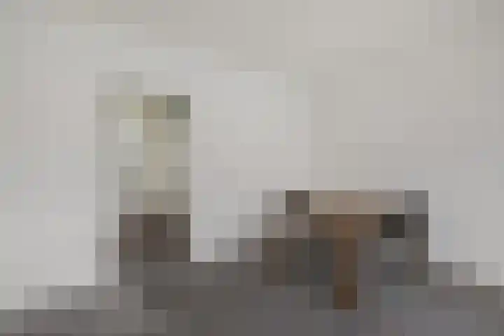 de Dulf 93 Leeuwarden thumbnail 5