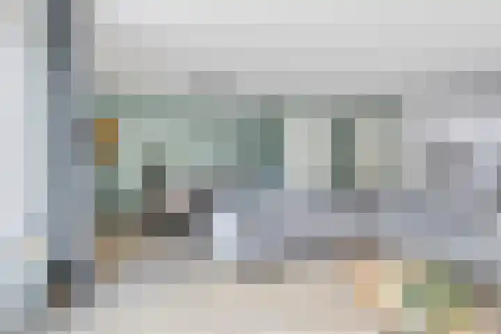 De Duus 13 Ootmarsum thumbnail 11