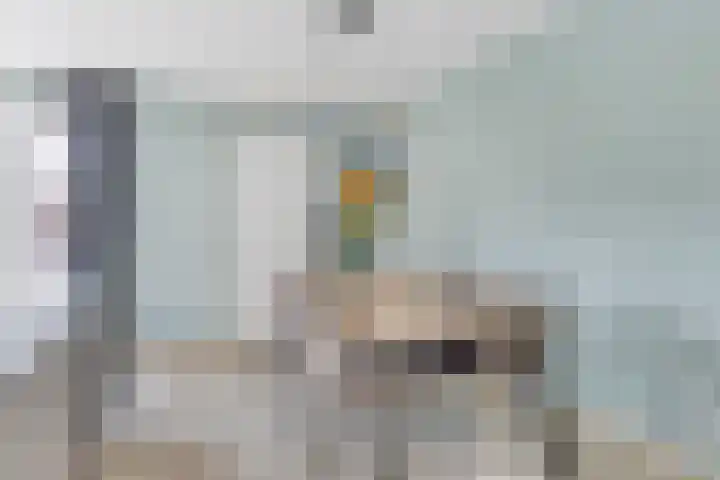De Duus 13 Ootmarsum thumbnail 13