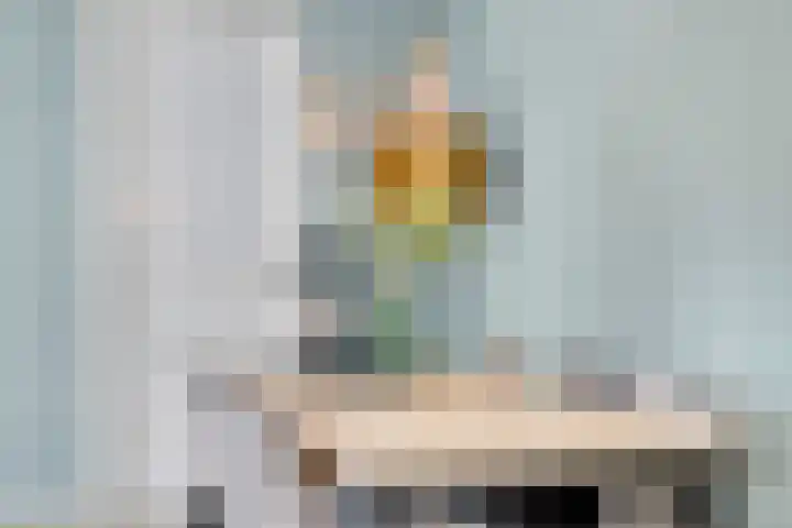 De Duus 13 Ootmarsum thumbnail 14