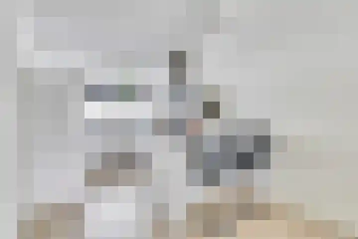 De Duus 13 Ootmarsum thumbnail 15