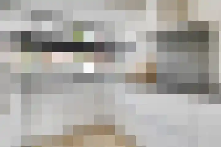 De Duus 13 Ootmarsum thumbnail 16